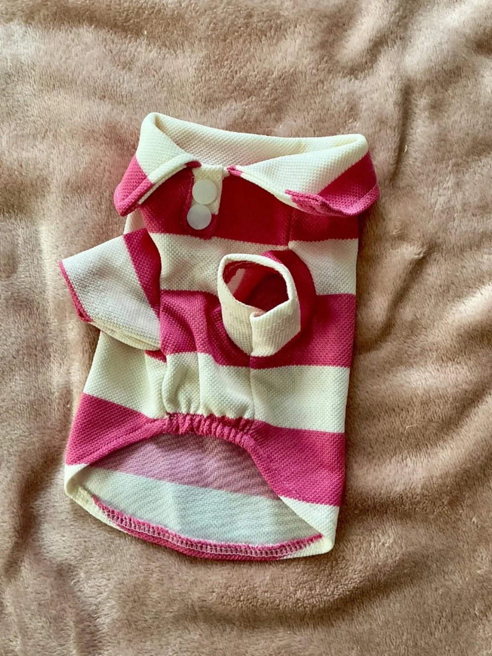 Adorable pink puppy polo
